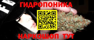ECSTASY Будённовск