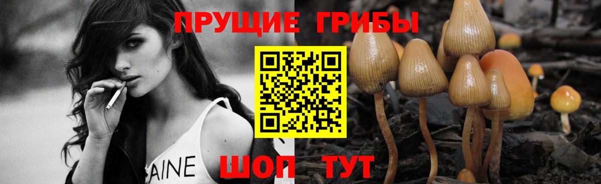 Псилоцибиновые грибы Psilocybe  Псилоцибиновые грибы мухоморы  Сергиев Посад  Вход с VPN 